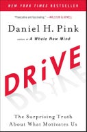 Drive (Hardback)