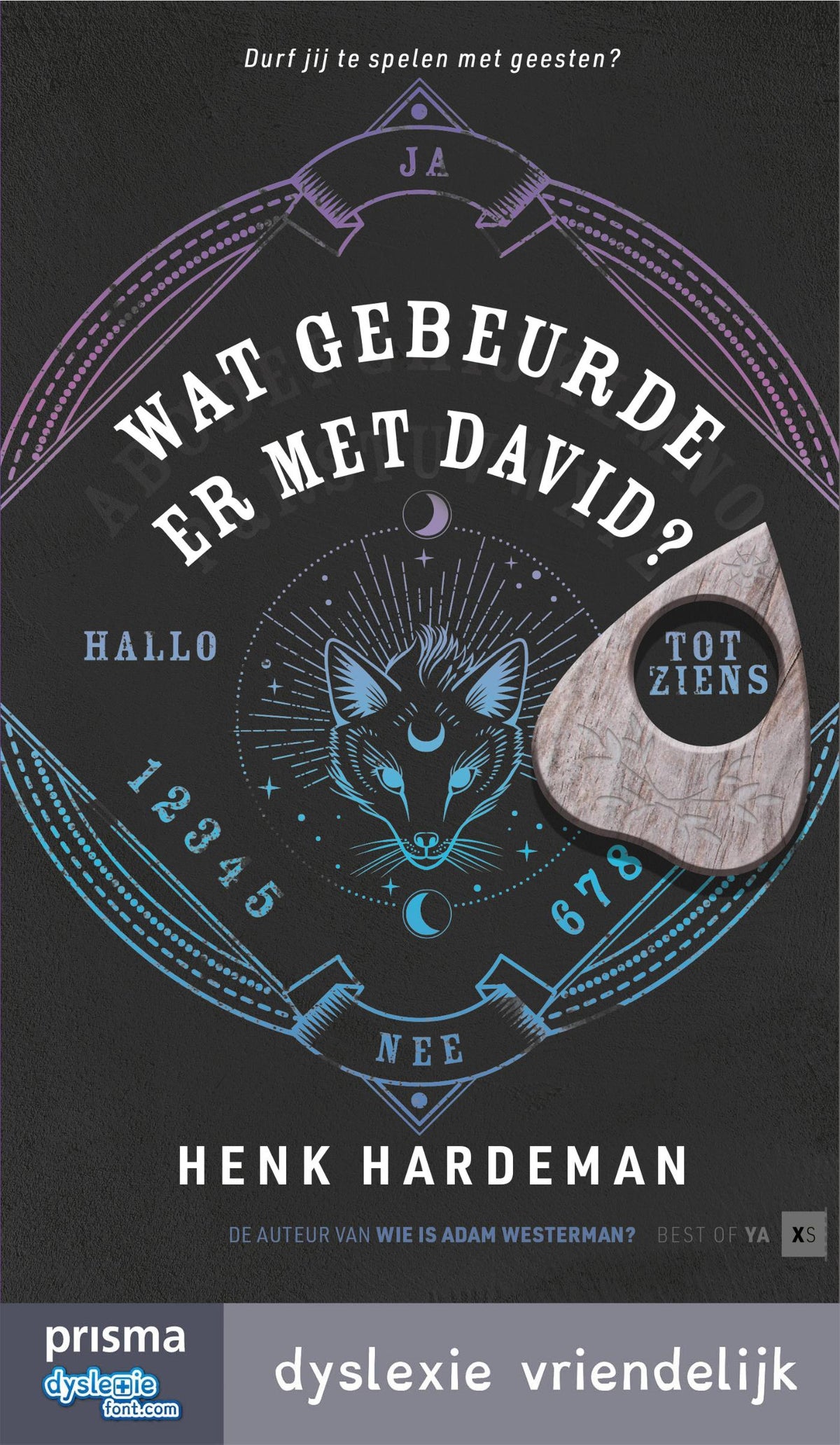 Wat gebeurde er met David? (E-book)