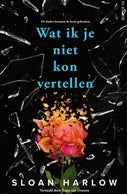 Wat ik je niet kon vertellen (E-book)