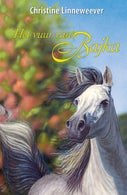 Het vuur van Bajka (E-book)