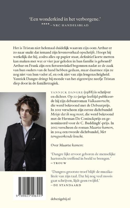 De idioot en de tederheid (Paperback)
