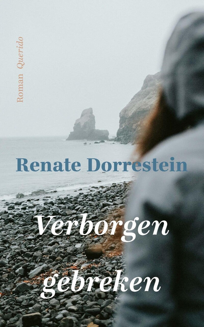 Verborgen gebreken (Paperback) Verborgen gebreken (Paperback)