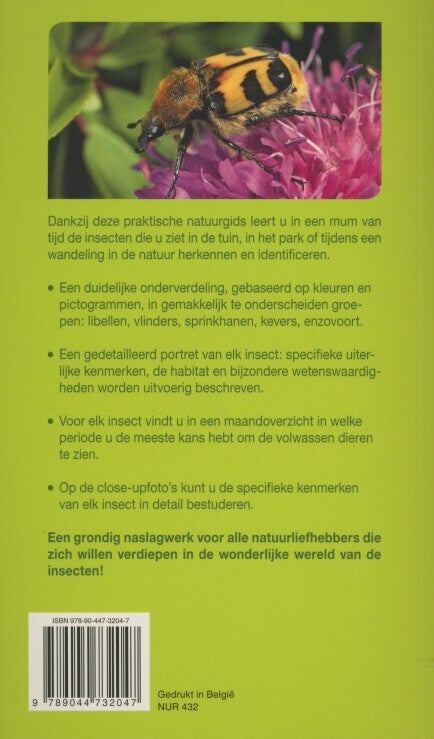 Insecten (Paperback) Insecten (Paperback)