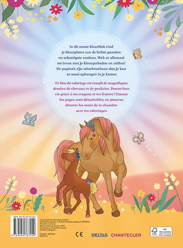 Ik hou van paarden kleurblok / J'aime les chevaux bloc de coloriage (Paperback) Ik hou van paarden kleurblok / J'aime les chevaux bloc de coloriage (Paperback)