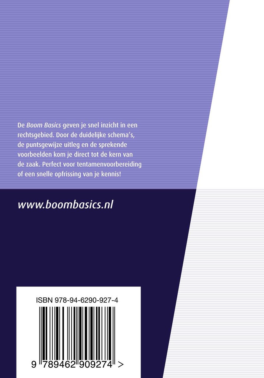 Boom Basics Belastingrecht (E-book)
