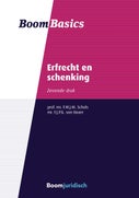 Erfrecht en schenking (E-book)