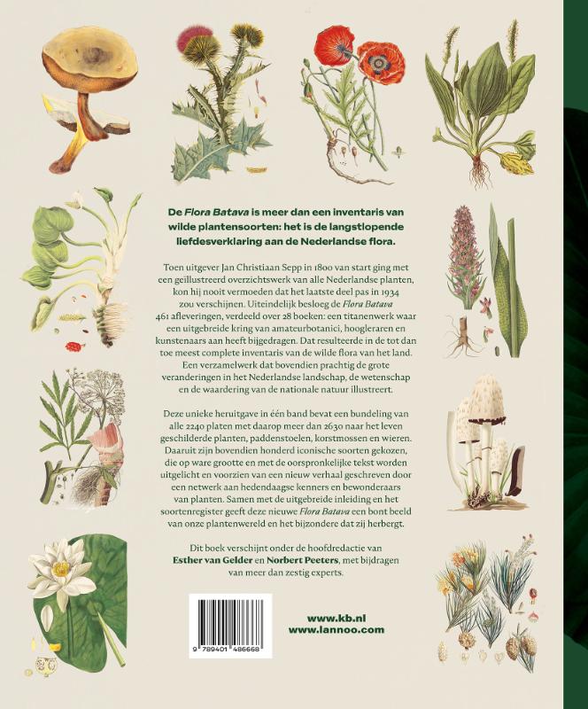 Flora Batava 1800-1934 (Hardback) Flora Batava 1800-1934 (Hardback)