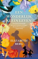 Een wonderlijk klein leven (E-book)