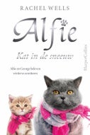 Kat in de sneeuw (Paperback)