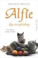 Kat in opleiding (Paperback)