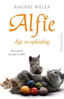 Kat in opleiding (E-book)