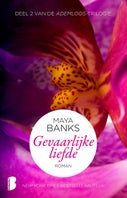 Gevaarlijke liefde (E-book)