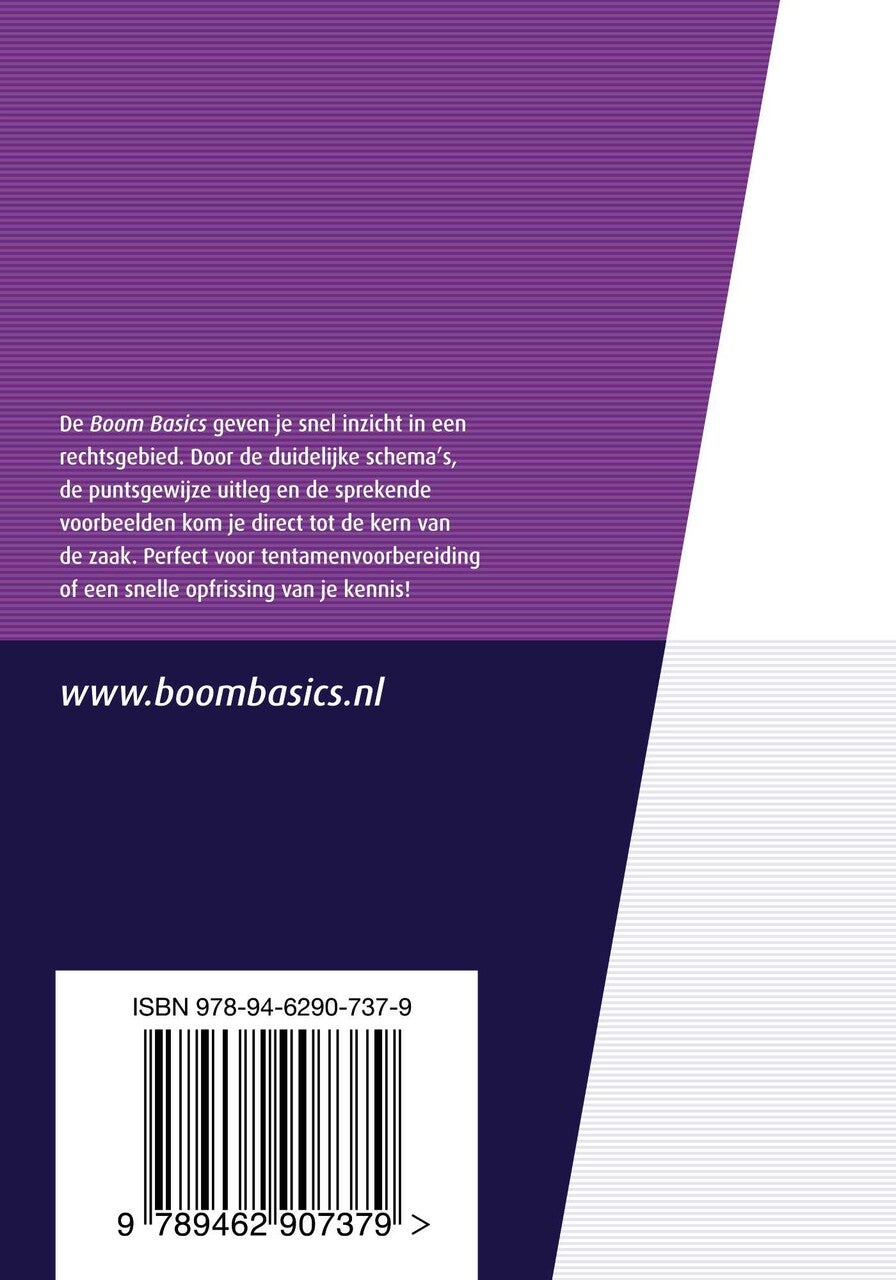 Boom Basics Internationaal recht (E-book)
