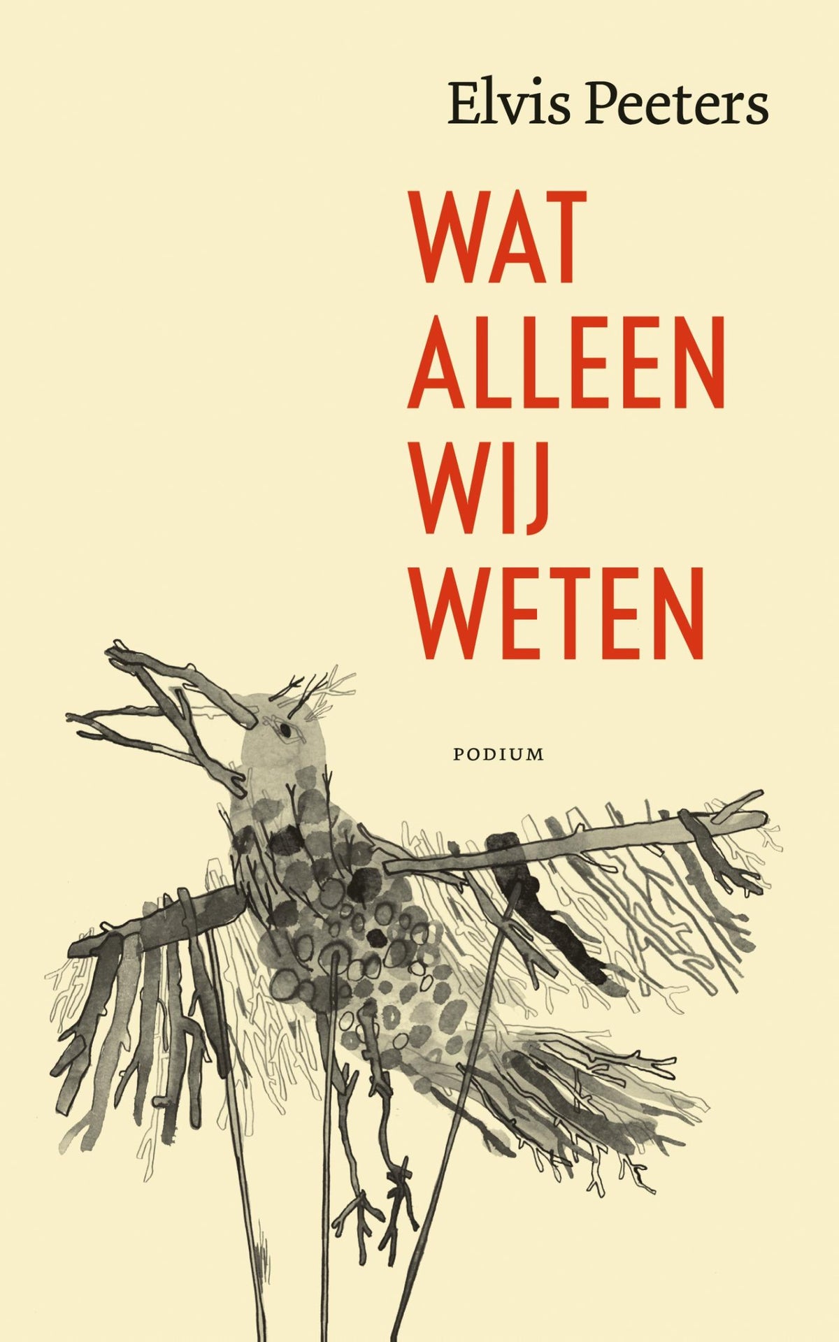 Wat alleen wij weten (E-book)
