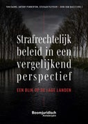 Strafrechtelijk beleid in een vergelijkend perspectie (E-book)