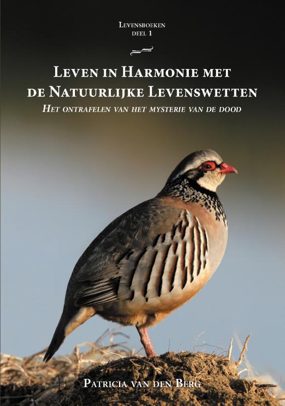9789464610512_frontcover