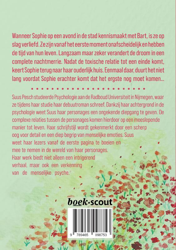 Voltooid verleden voorbeeld (Paperback) Voltooid verleden voorbeeld (Paperback)