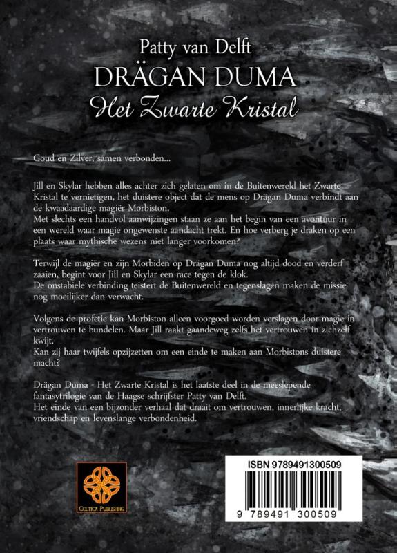 Het zwarte kristal (Paperback)