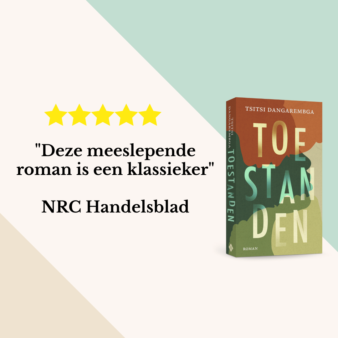 Toestanden (Paperback)
