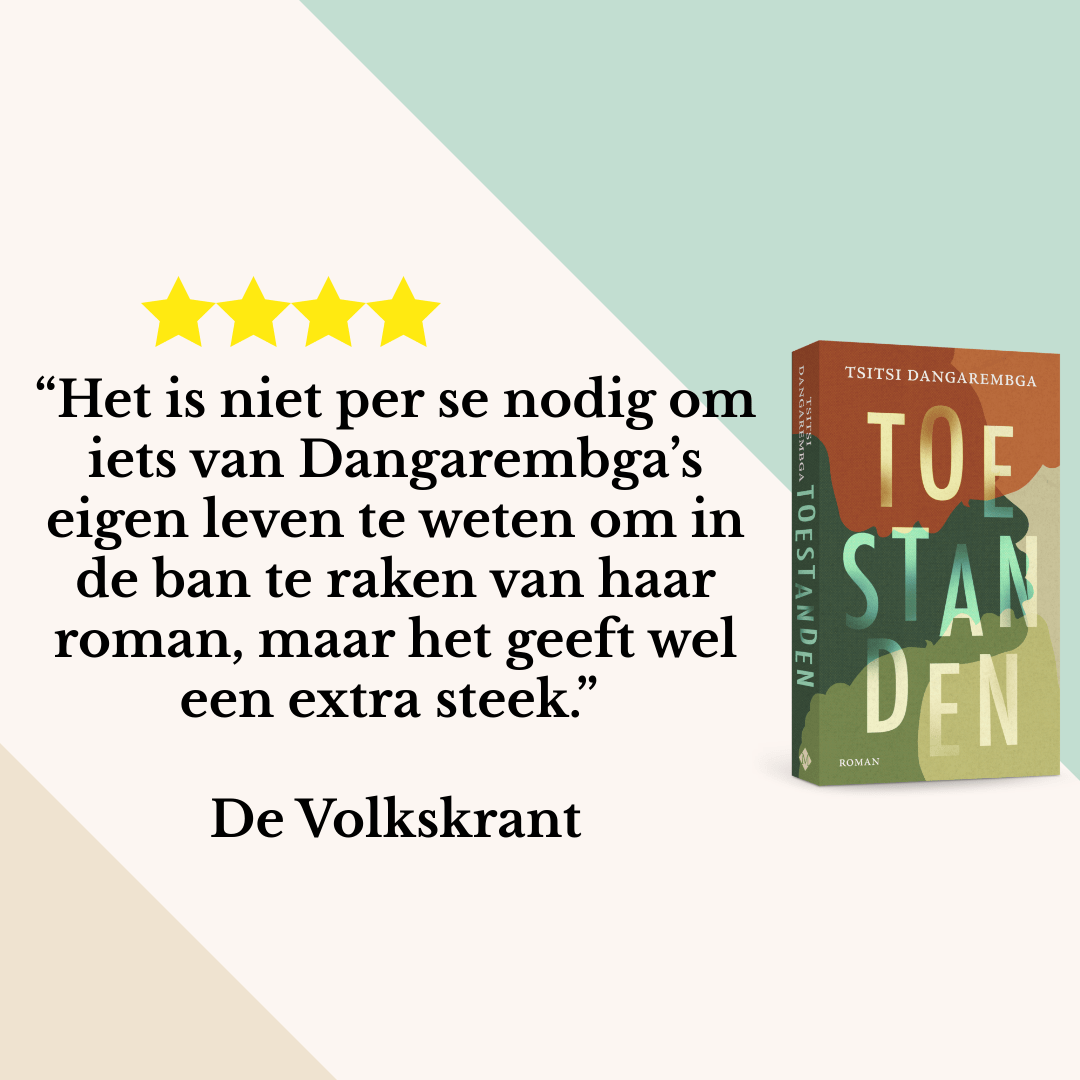Toestanden (Paperback)
