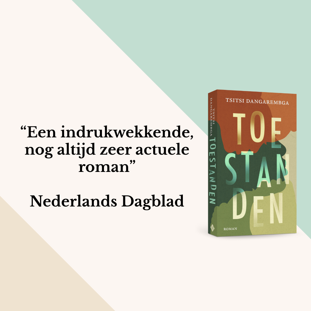 Toestanden (Paperback)