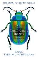 Extraordinary Insects (Paperback)
