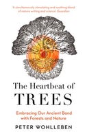 The Heartbeat of Trees (Paperback)
