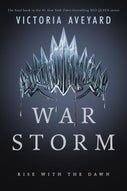 War Storm (Paperback)