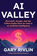 AI Valley (Hardback)