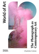 The Photograph as Contemporary Art (Paperback)