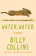 Water, Water (Paperback)