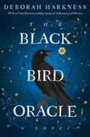 The Black Bird Oracle (Paperback)