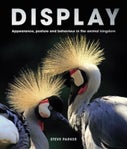 Display (Hardback)