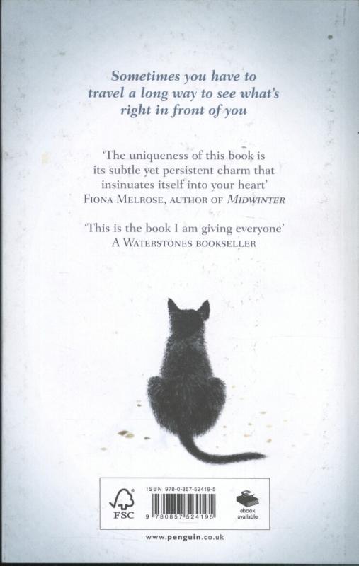 The Travelling Cat Chronicles (Paperback)