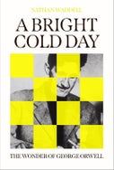 A Bright Cold Day (Hardback)