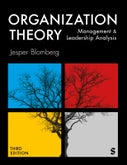 Organization Theory (Paperback)