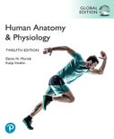 Human Anatomy & Physiology, Global Edition (Paperback)