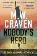 Nobody's Hero (Paperback)