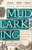 Mudlarking (Paperback)
