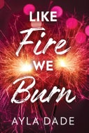 Like Fire We Burn (Paperback)
