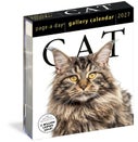 Cat Page-A-Day® Gallery Calendar 2027 (Kalender)