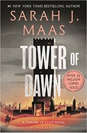 Tower of Dawn (Paperback)