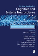 The Sage Handbook of Cognitive and Systems Neuroscience (Hardback)