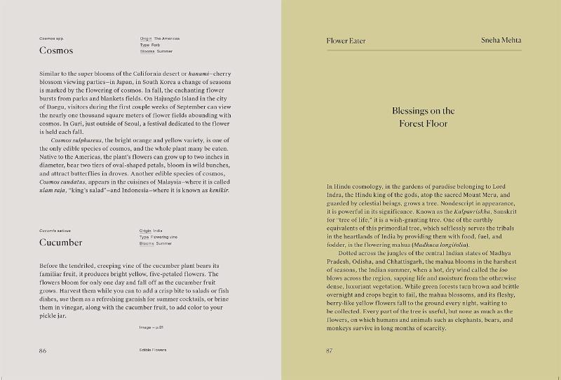 isbn-9781580935715_front_cover