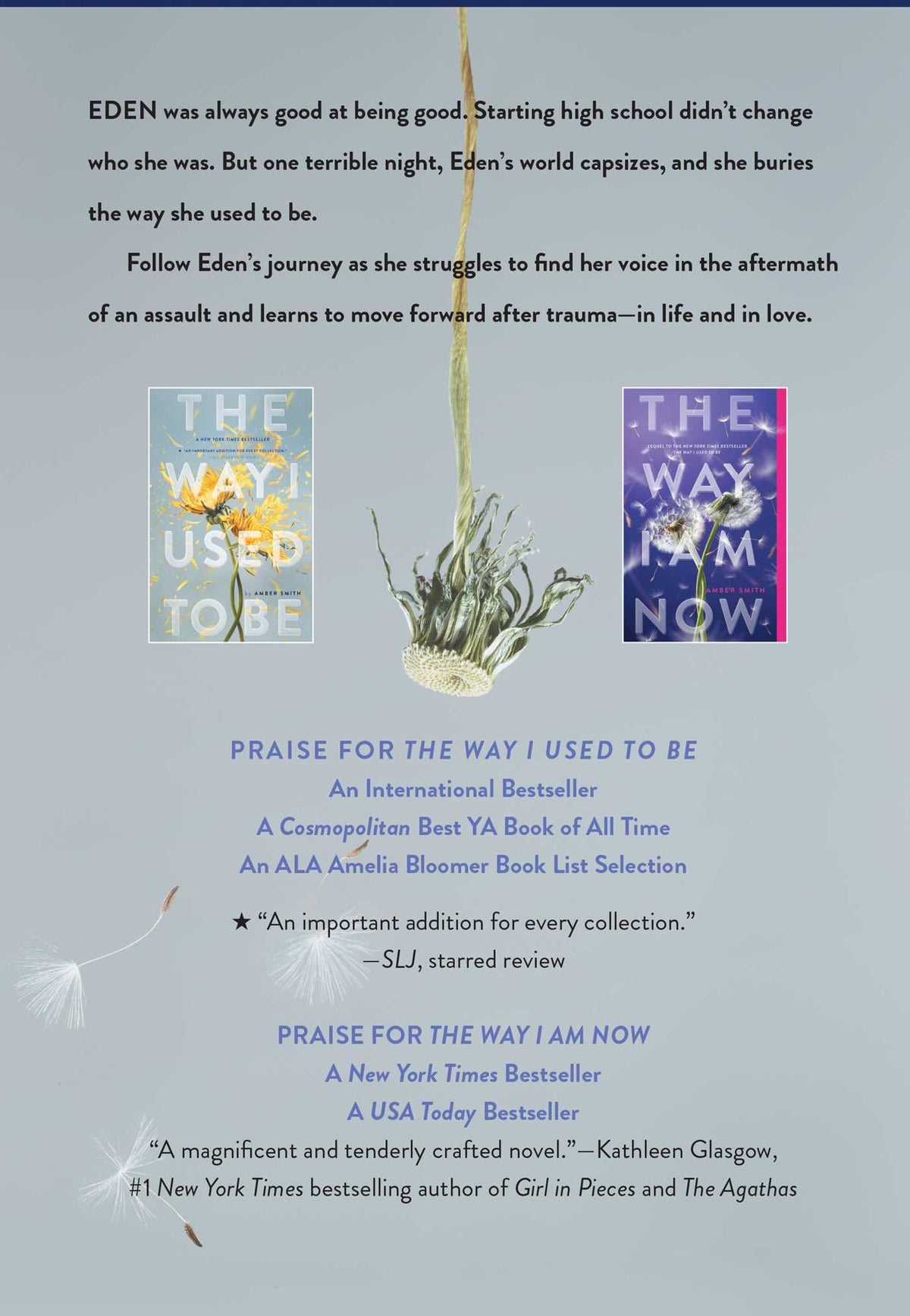 The Way I Used to Be Paperback Collection (Boxed Set) (Paperback)