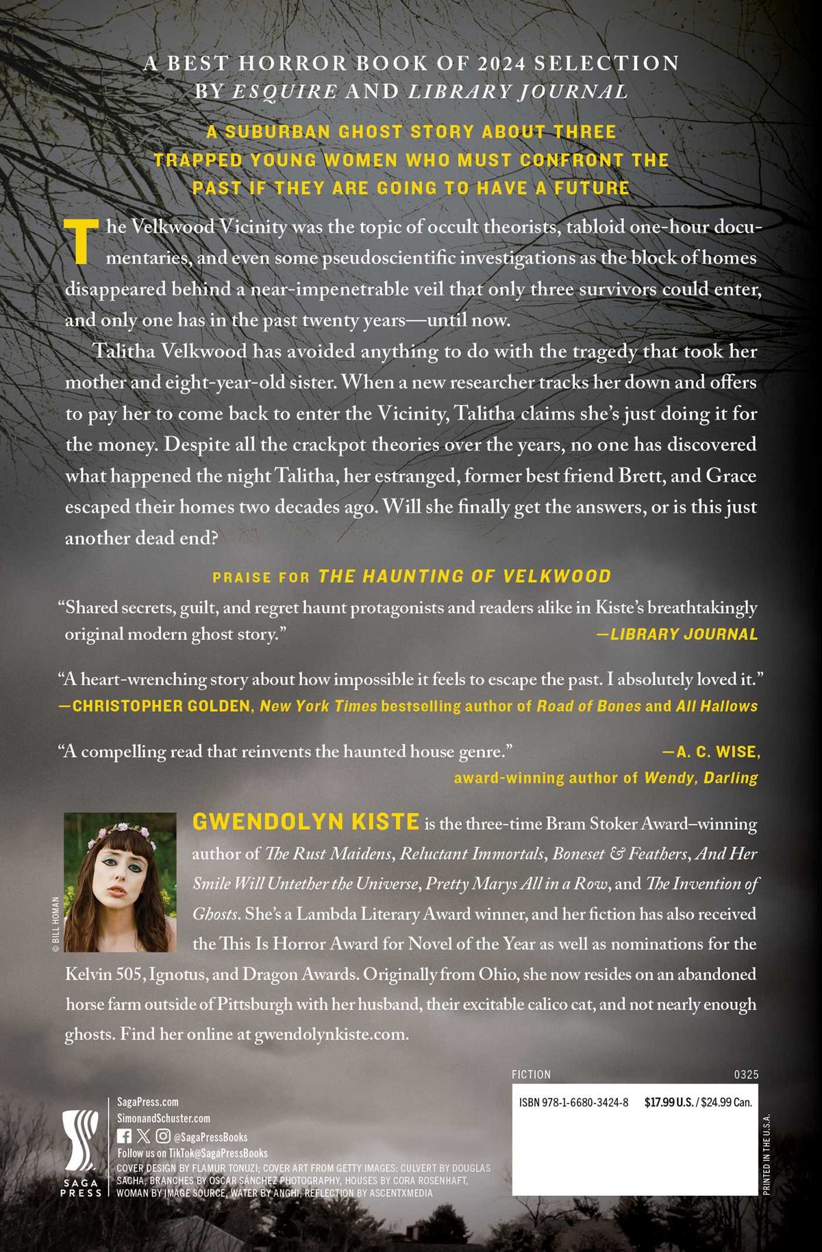 The Haunting of Velkwood (Paperback)