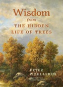 Wisdom from the Hidden Life of Trees (Hardback)