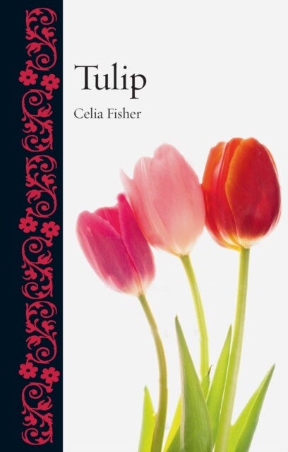 isbn-9781780237596_front_cover