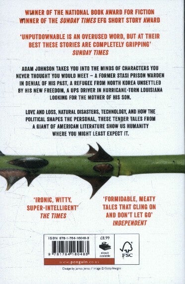 Fortune Smiles: Stories (Paperback)