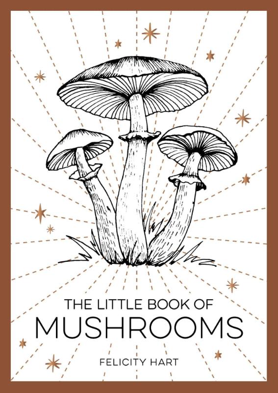 isbn-9781800073876_front_cover